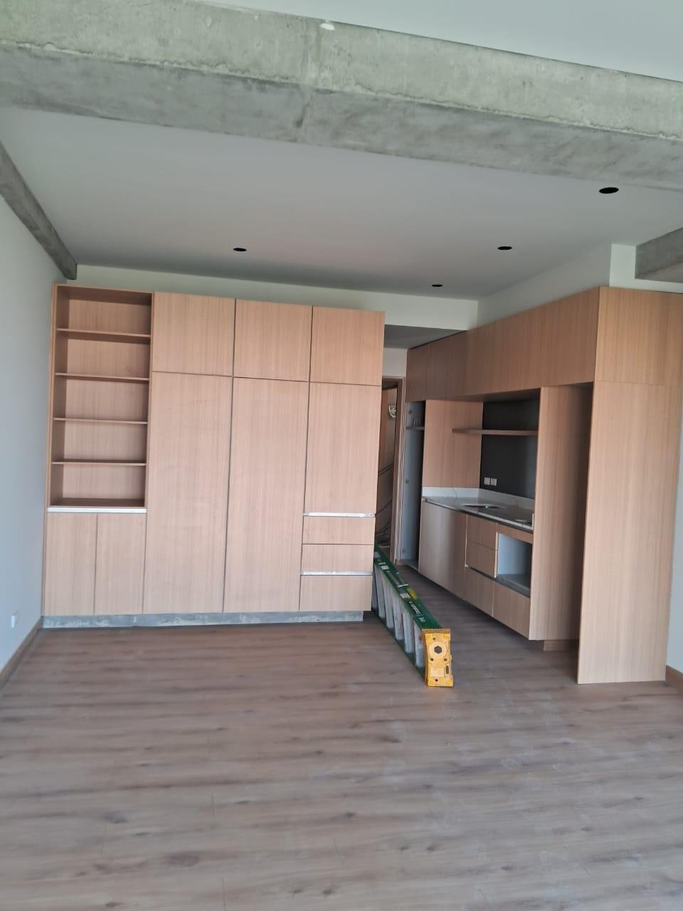 Modern kitchen with custom cabinetry — Houston area project